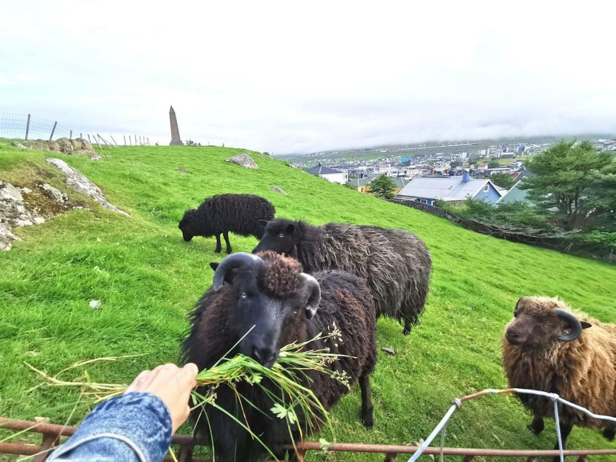 A Green Pearl in the Heart of Tórshavn Exterior foto